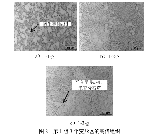 1646691772313462.jpg t8.jpg