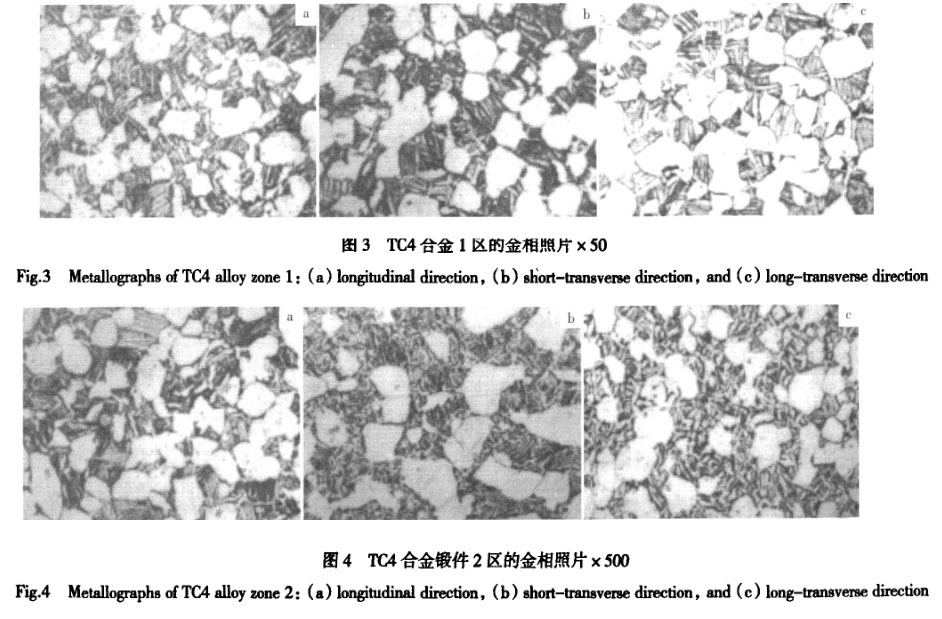 1647729802900883.jpg t34.jpg