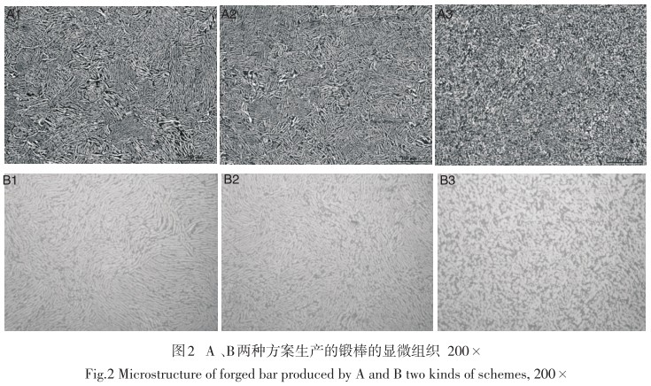 1638977304454106.jpg 3.jpg