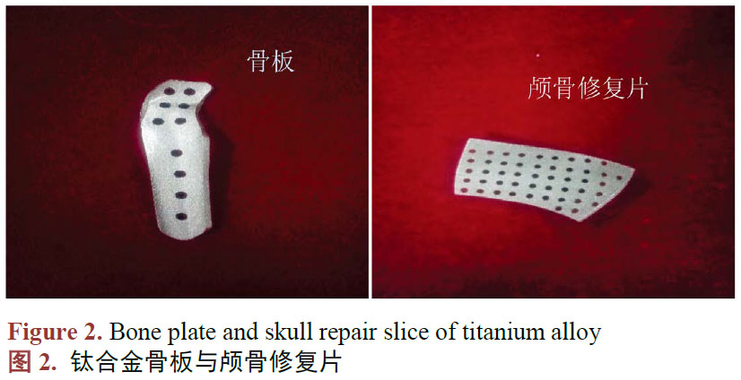 1683339120541445.jpg t2.jpg